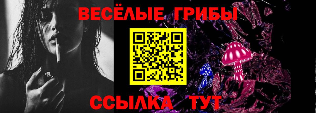 Галлюциногенные грибы Psilocybe  Вход с VPN  Мурманск 